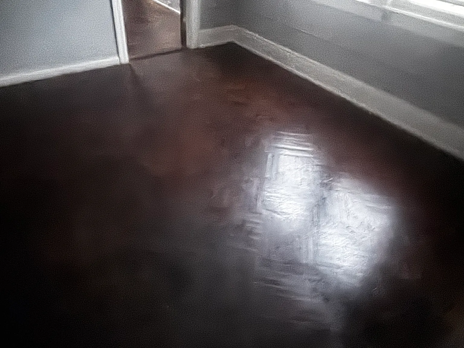 3 bed, 900 sqft, $2,800 — Photo 3