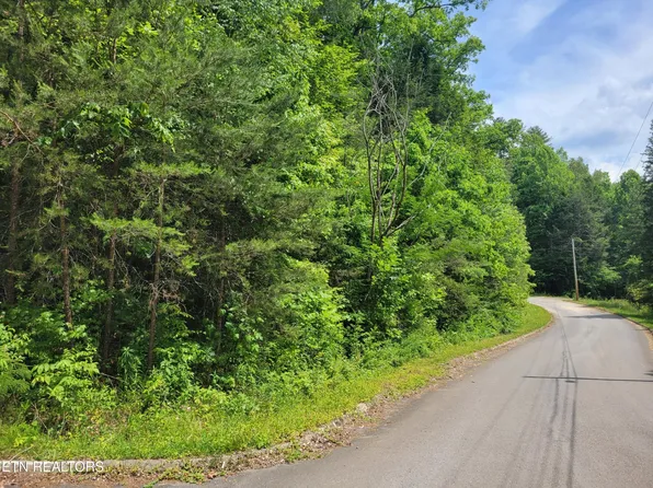 13 Peace Ln Lot 13, Cosby, TN 37722