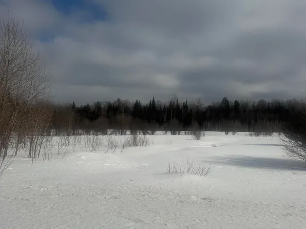 0 Michigan Hwy #77, Germfask, MI 49836