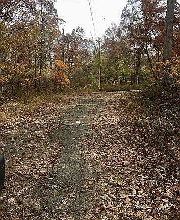 3rd image of 54 Skyline Dr