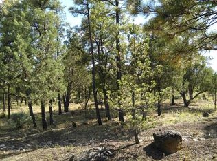 1361 Wolftail Ln, SHOW LOW, AZ 85901