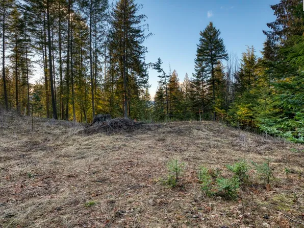 Nna White Cloud, Sandpoint, ID 83864