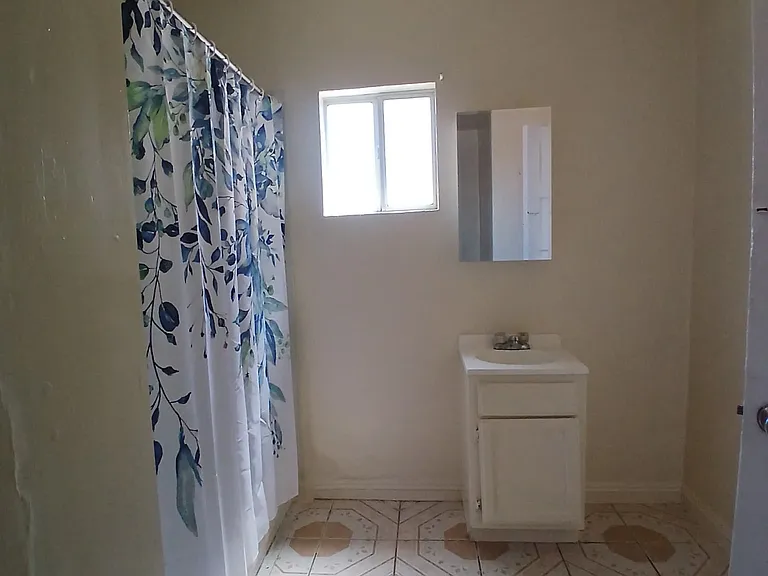 324 N Mathews St #10 — Photo 6