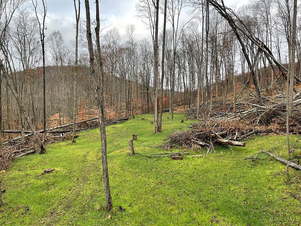 1st image of 20 Beech Fork Rd