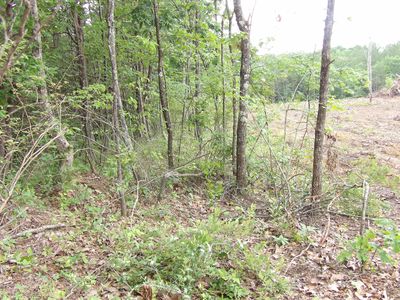 7 Hughes Cemetery Rd Unit 7, Evensville, TN, 37332
