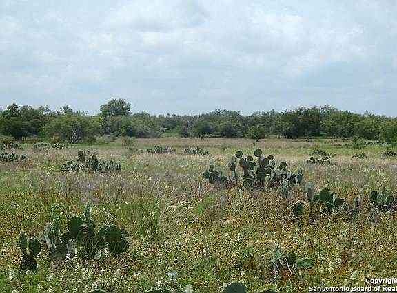4th image of 1183 County Road 7711 25 Acre-tract #2