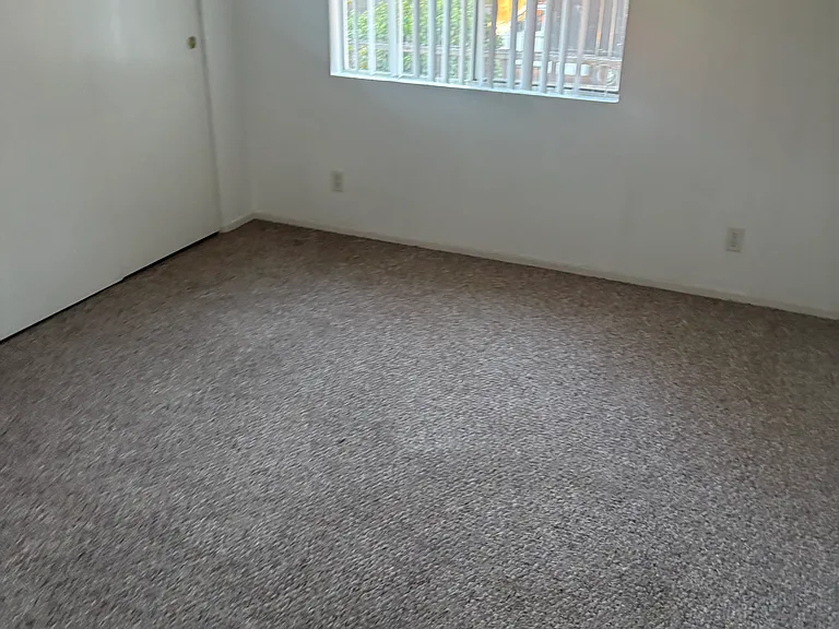 409 El Sueno Rd — Photo 6