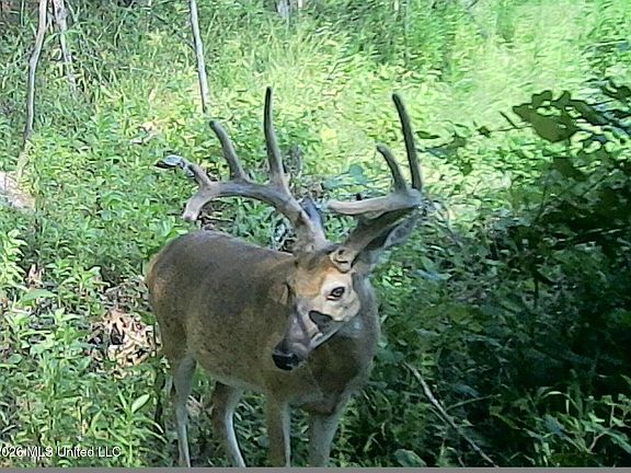 4th image of 2490 Shady Grove Rd