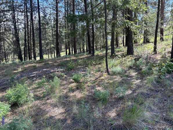 1181 Fumi Cir, Kettle Falls, WA 99141