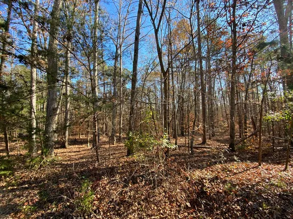 344 Shore Crest Dr, Martin, GA 30557
