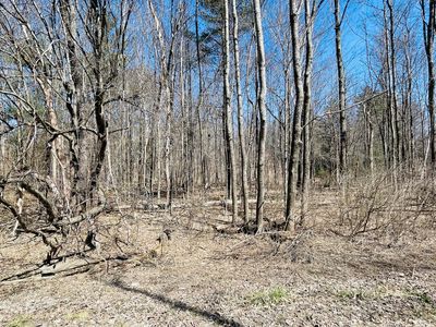 0 Dan Casey Memorial Dr LOT 102, Pittsfield, MA, 01201