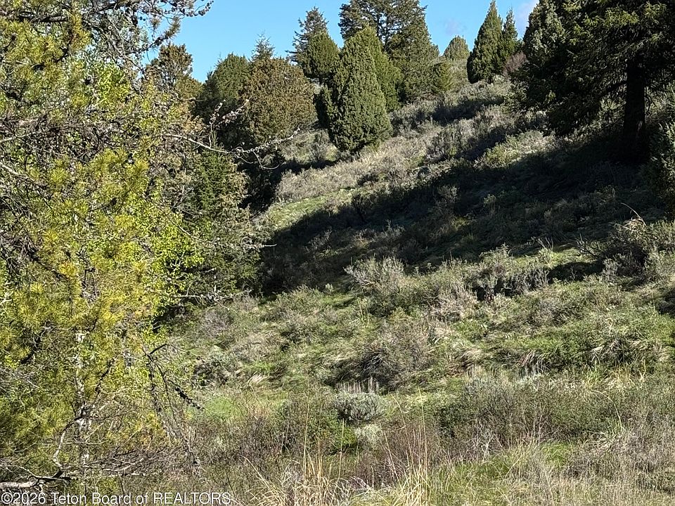 1st image of 59-B4 Cutthroat Run