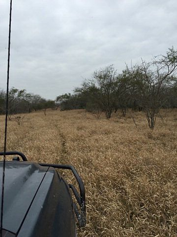 1st image of 178 S County Road 1040