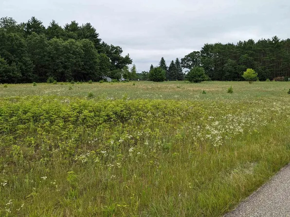 Lot 2 Gale Court #1, Wisconsin Dells, WI 53965