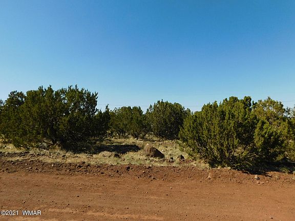 4th image of 8548 Quail Run Dr