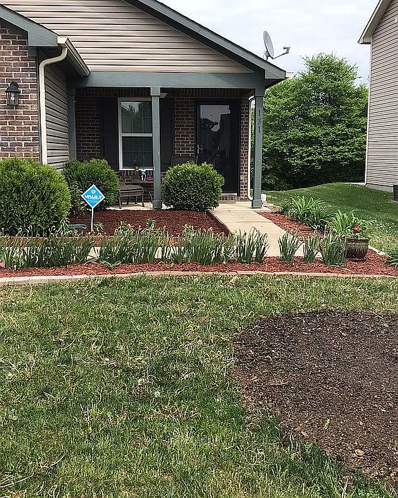 Spring flowers 