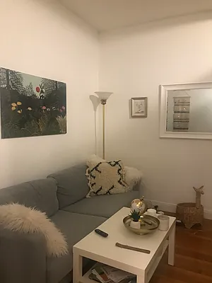 Rented by Living New York | media 4