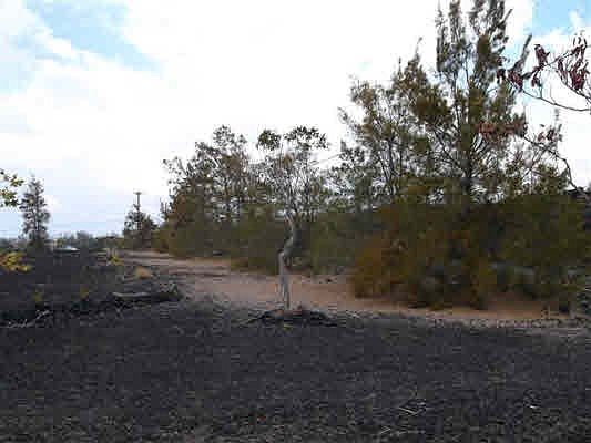 1st image of 92-8843 Jacaranda Dr Lot 73