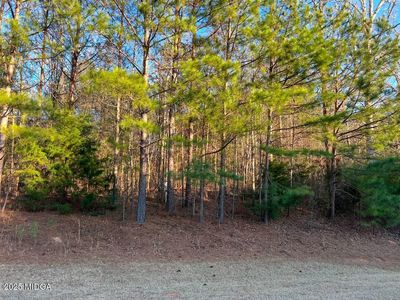 117 Gardens Dr, Forsyth, GA, 31029