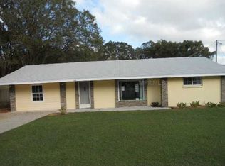19209 Hanna Rd, Lutz, FL 33549