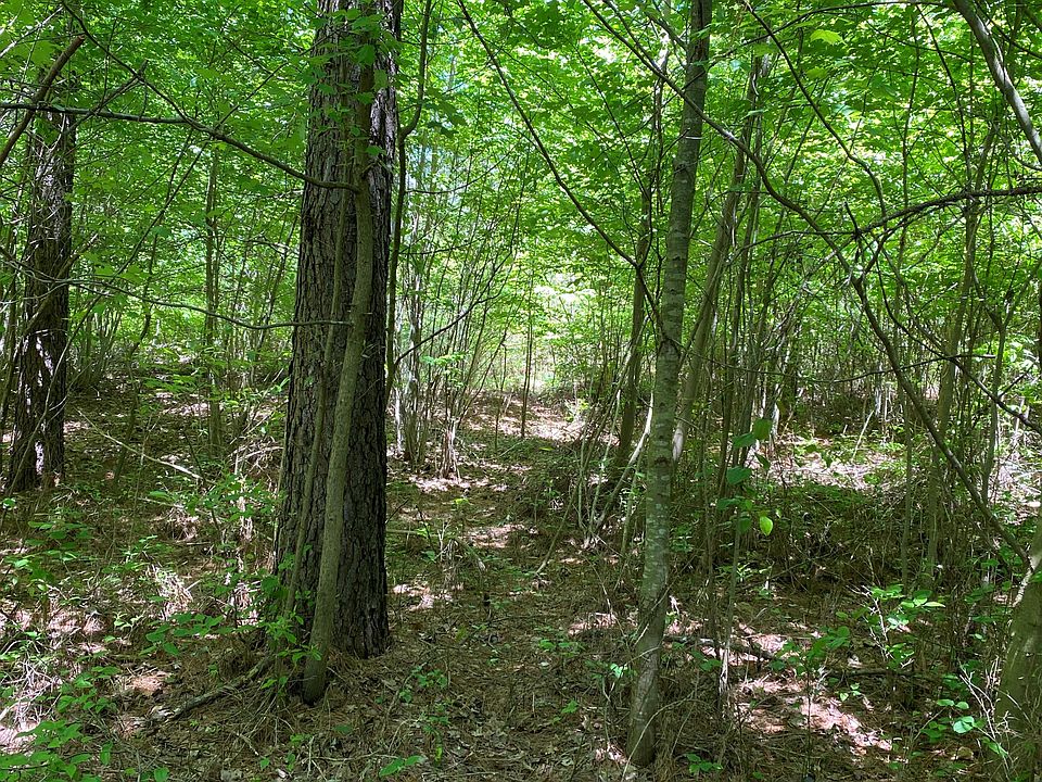 2nd image of LOT 1 Browns Trace Rd Lot 1