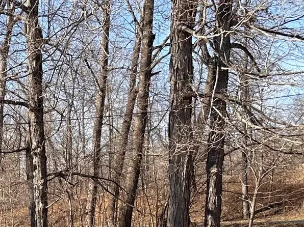 Lots 156 And 157 Parkview Dr, Eddyville, KY 42038