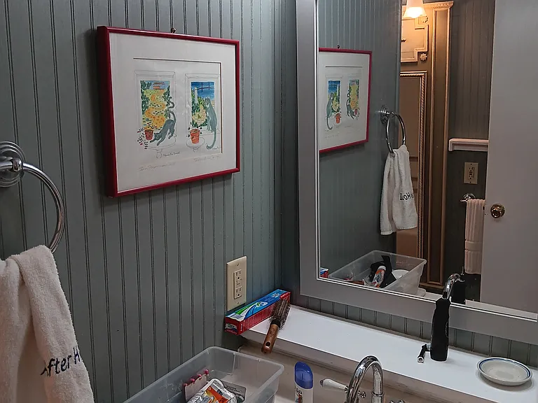 3206 Green Valley Dr #HOUSE — Photo 7