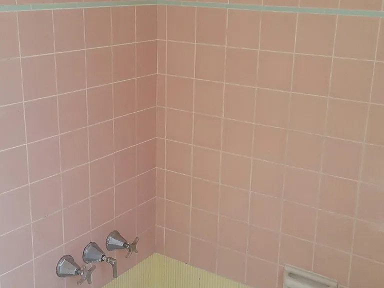 Vintage tile & shower with full soaking tub