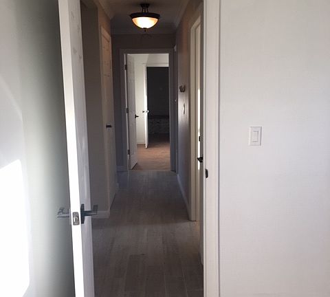 5th image of 1020 Carll Dr