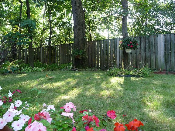 Patio-left side