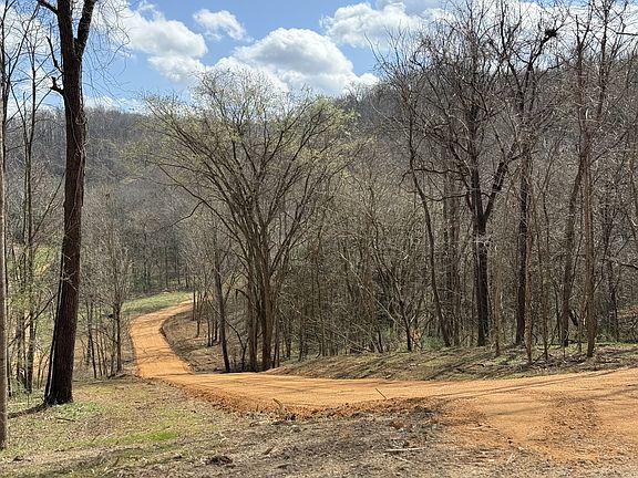 5th image of 0 Preacher Holt Rd Lot 3