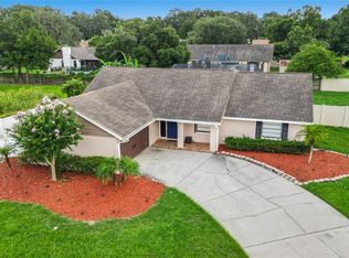 4517 Mohican Trl, Dover, FL 33594