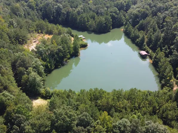 294 Co Rd, Selma, AL 36701