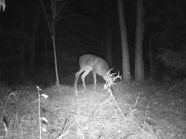 2876 State Highway Cc, Brighton, MO 65617