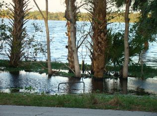 850 Lemon Bluff Rd, Osteen, FL 32764