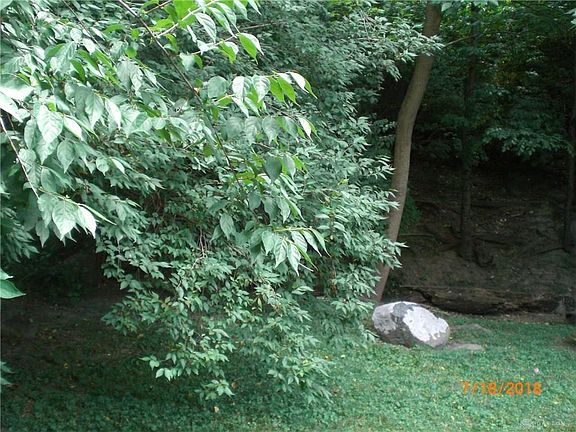 5th image of 4806 Shadeland Dr