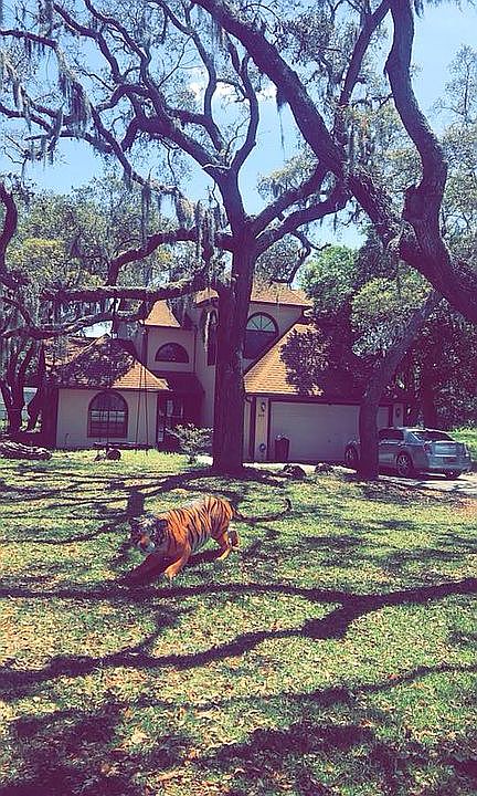 FRONT YARD BEAUTIFUL VIEW