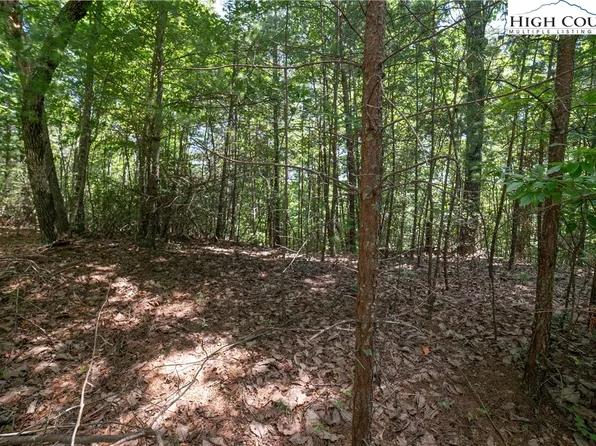 Lot 88 Woodpecker Road, Purlear, NC 28665