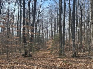 6455 Old State Rd, Atlanta, MI 49709