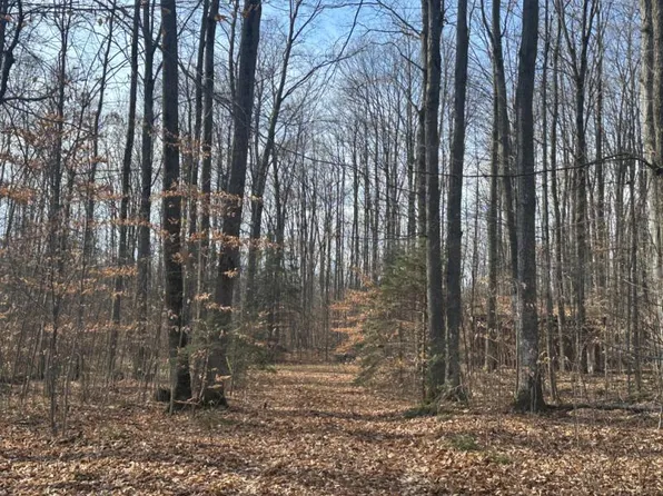 6455 Old State Rd, Atlanta, MI 49709
