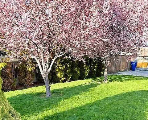 4505 S Holladay Cir — Photo 28