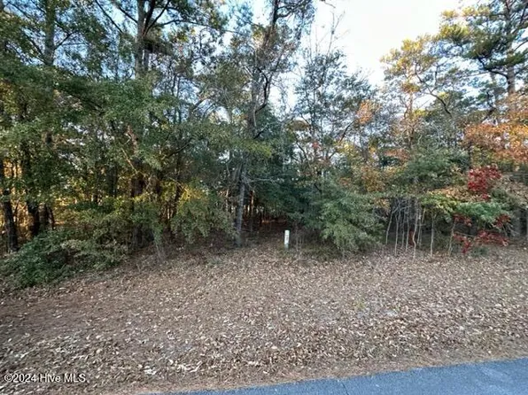 Lot 60 Lakeshore Drive, Minnesott Beach, NC 28510