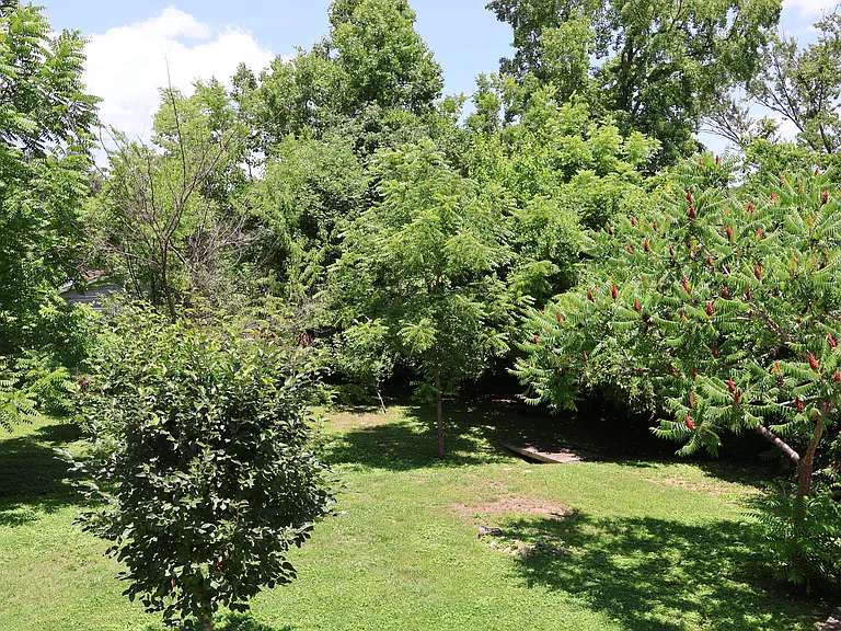 403 Woodlawn Pike — Photo 4
