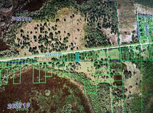 0 Polk Pkwy LOT 47, Polk City, FL 33868