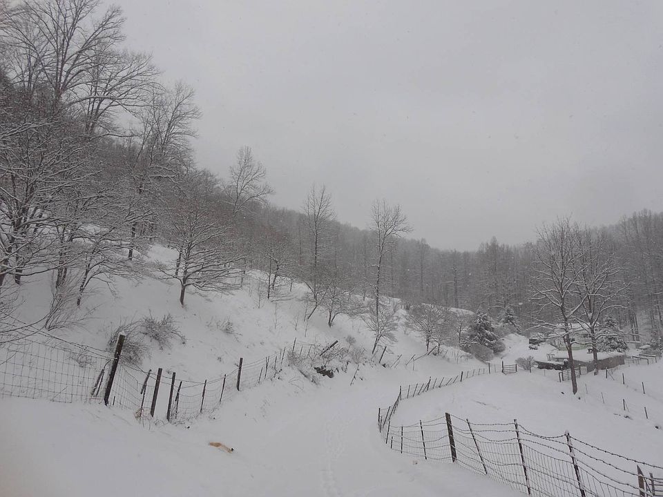 85th image of this home