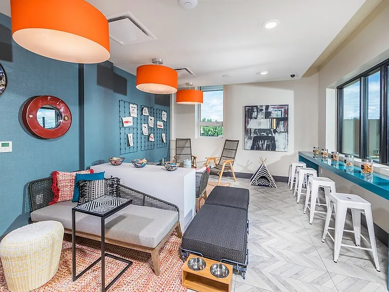 Pet Lounge