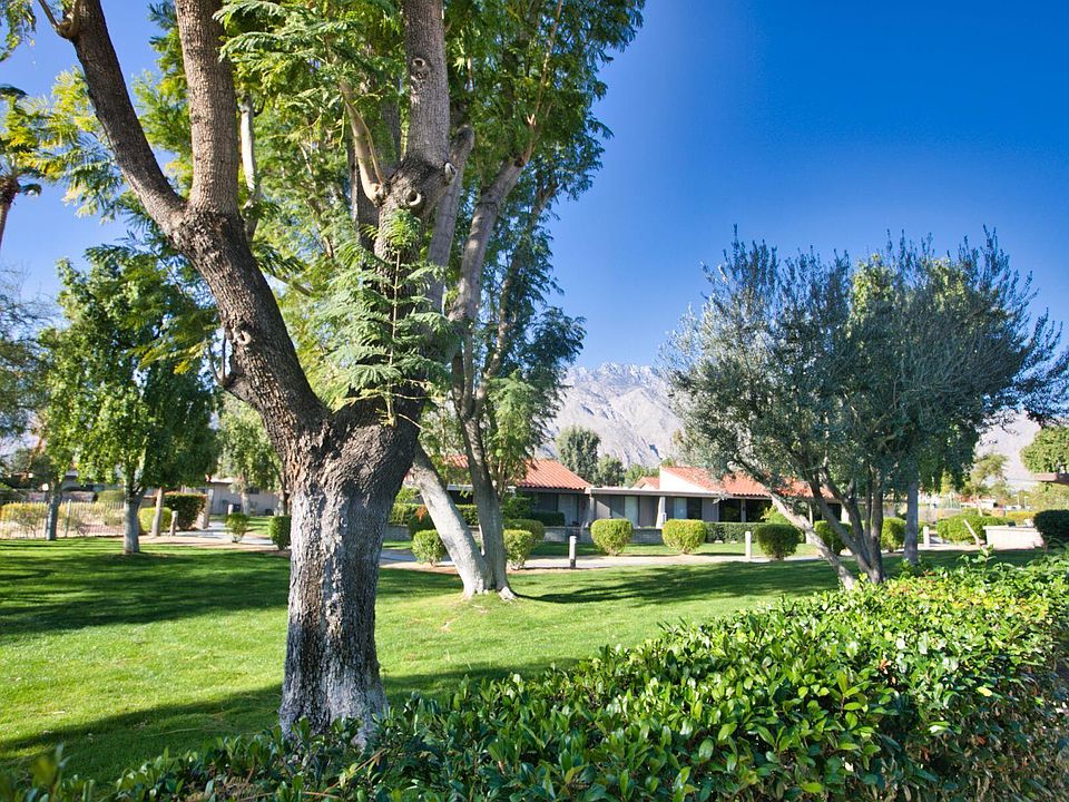 1st image of 2021 Paseo Raqueta