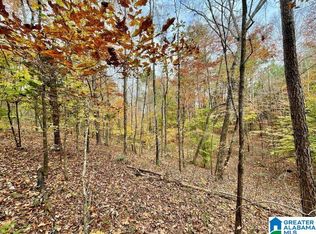 0 Mjhs Bone Dry Rd #1, Kimberly, AL 35091