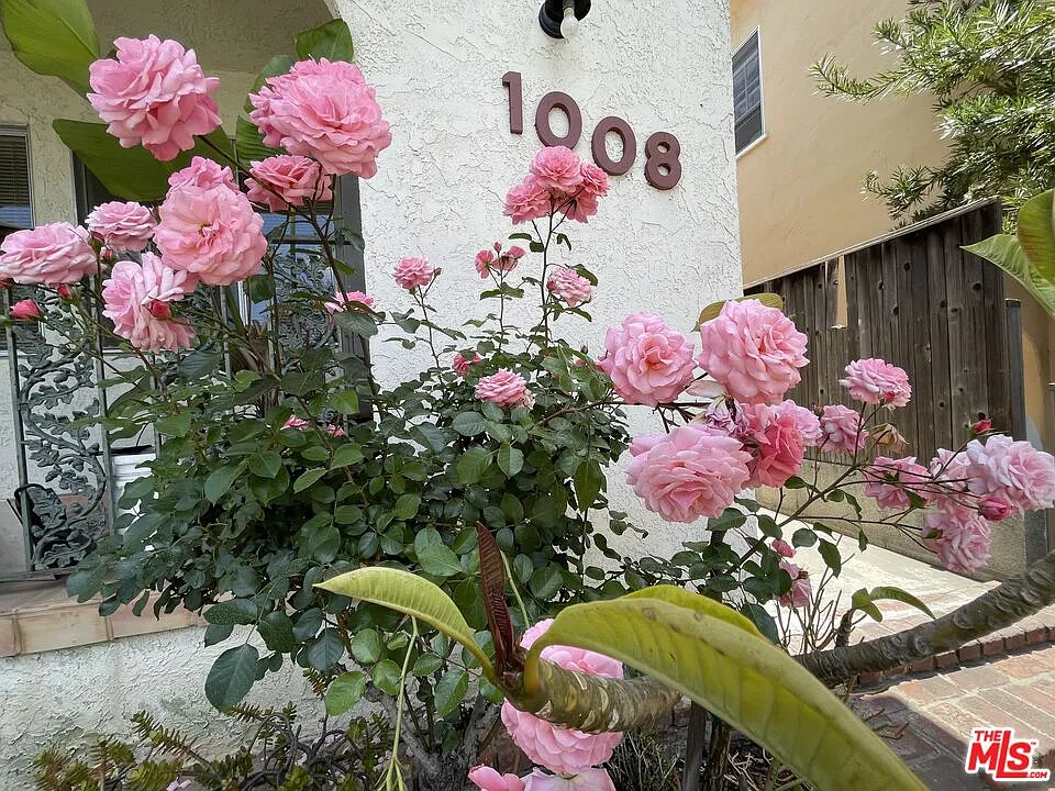 3 bed, 2.0 bath, 1200 sqft, $5,800 — Photo 2