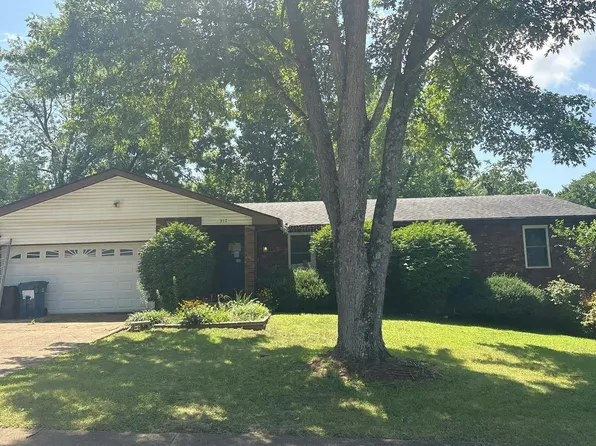 317 Cedar Dr, Potosi, MO 63664